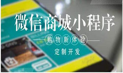 商城小程序开发、北京小程序开发哪家好？-北京锐智互动