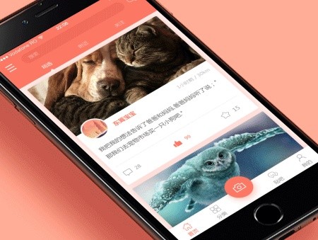 宠物医院App开发的价值和相关功能-北京锐智互动